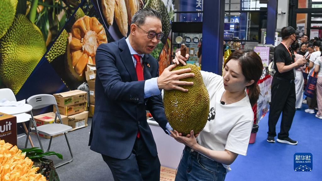 小太阳网活动